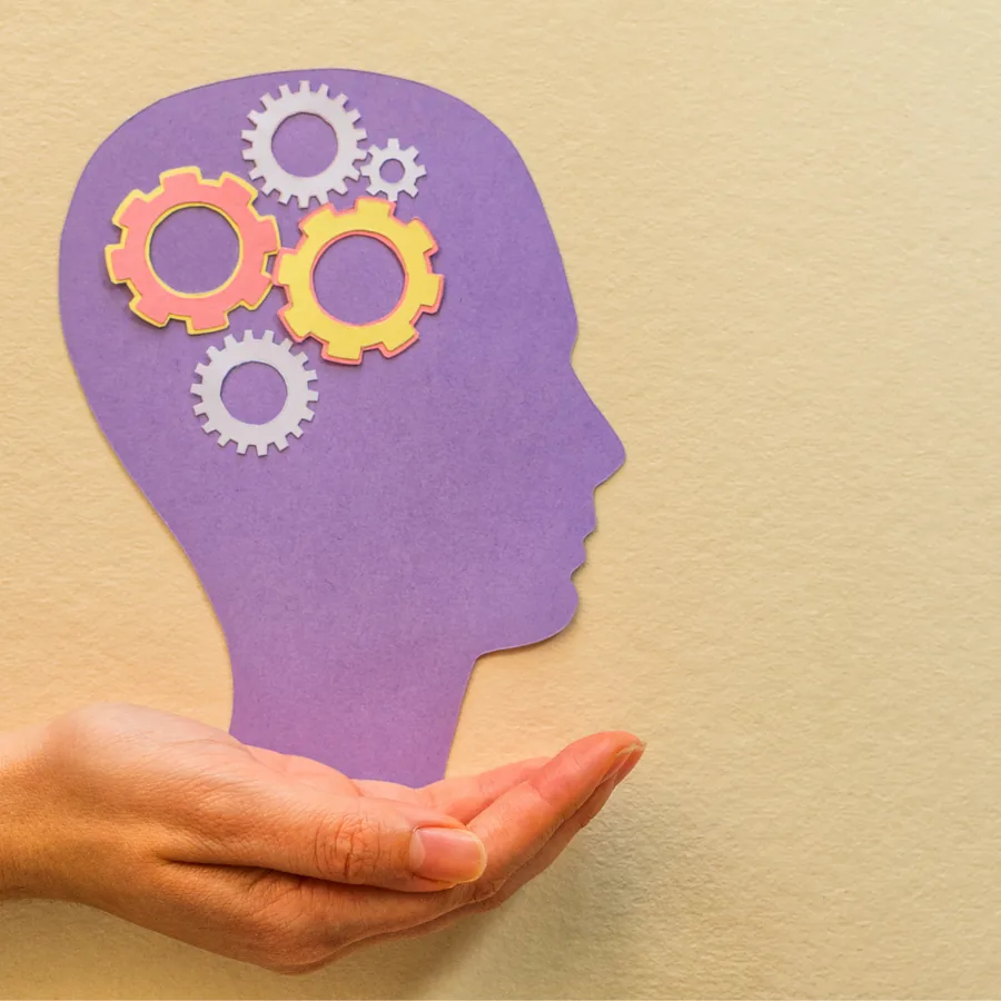 Systems Thinking